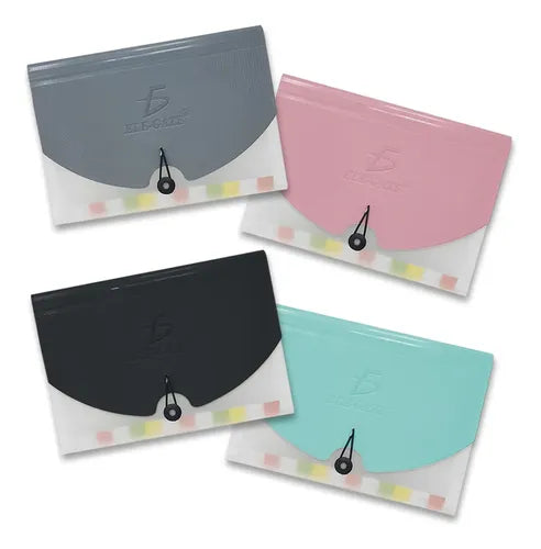 Folder Organizador A4 Con Separadores De Colores