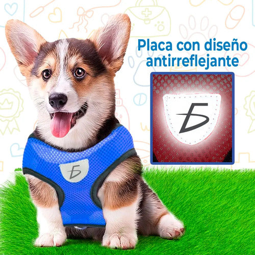 Conjunto De Arnés Y Correa Para Mascotas Estilo