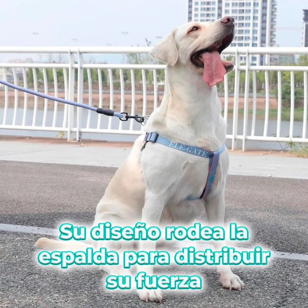 Arnés Para Perros Pequeños Con Correa Circular