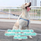 Arnés Para Perros Pequeños Con Correa Circular