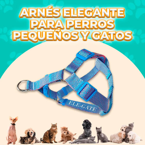 Arnés Para Perros Pequeños Con Correa Circular