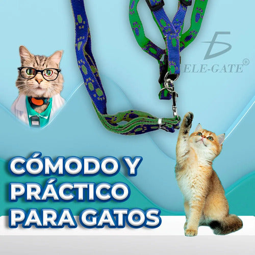 Juego De Arnés Y Correa Halter Para Perro Con Patrones Rojo
