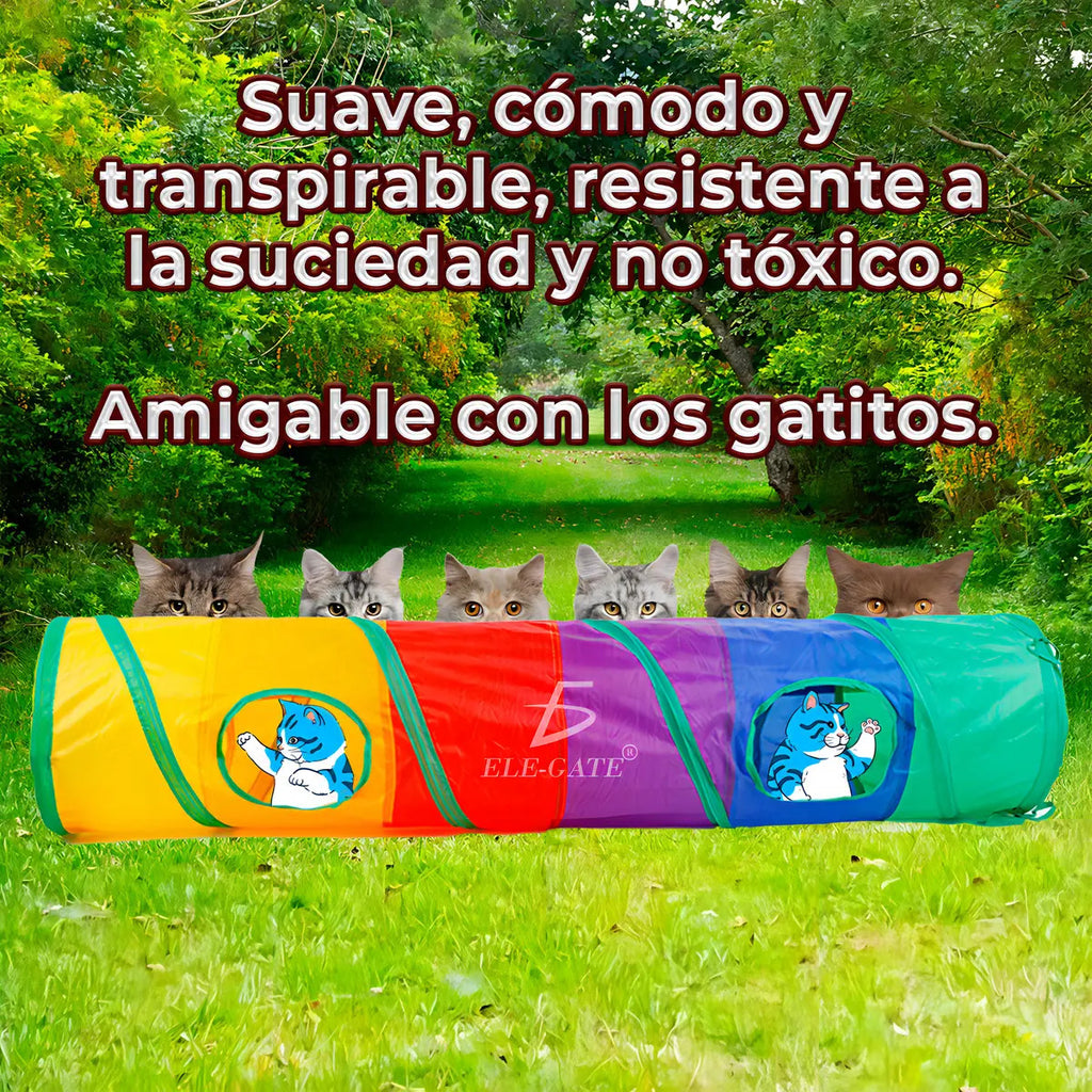 Túnel Plegable Interactivo Para Entrenamiento De Mascotas De Colores