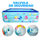Alberca Piscina Inflable Familiar 210 135 55