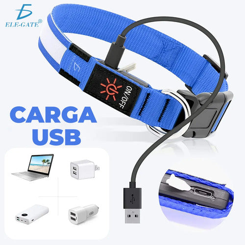 Collar Para Perro Gato Mascota Iluminado Con Luz Led Forma M