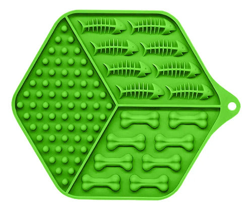 Plato Con Textura Ideal Para Comida Húmeda Verde