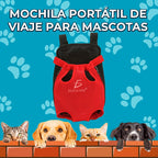 Mochila Porta Mascotas Transpirable Y Portátil Comodidad Y Violeta