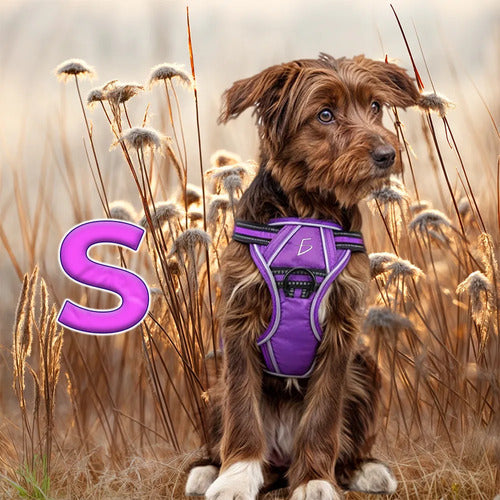 Arnés Para Perro Cómodo Y Ajustable Con Asa Y Chaleco