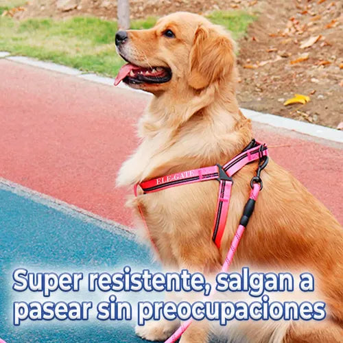 Conjunto De Arnés Y Correa Para Perros Comodidad Y Seguridad Rojo