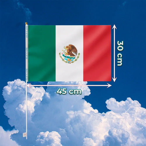 Bandera De México 30x45 Cm Tela Resistente Con Mástil De