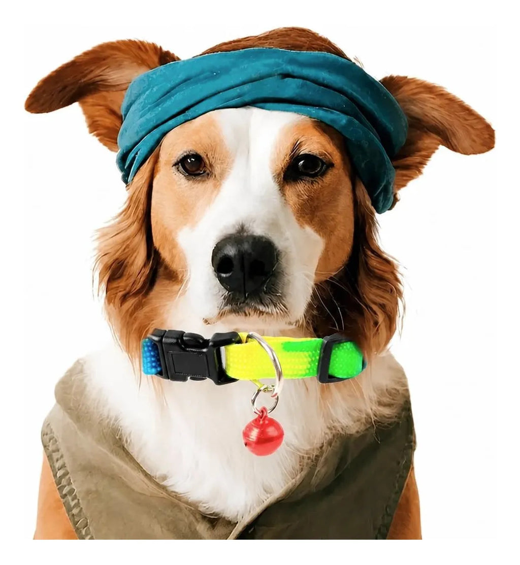 Collar Ajustable De Colores Degradados Para Mascotas