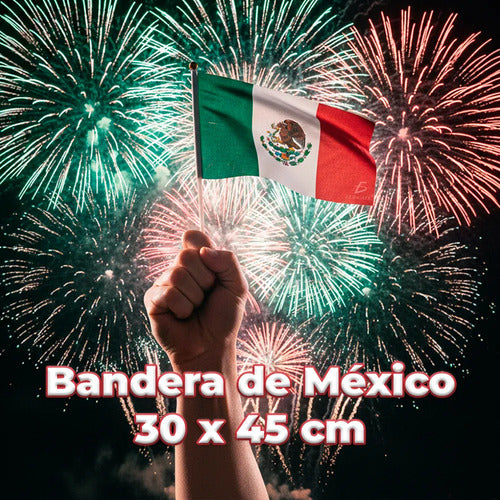 Bandera De México 30x45 Cm Tela Resistente Con Mástil De