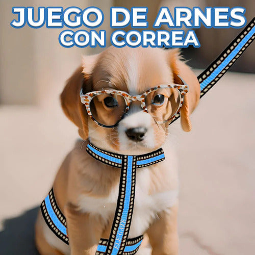Arnés ajustable de nailon doble con correa para perros