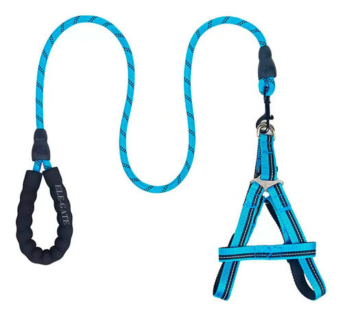 Kit De Arnés Y Correa Para Perros. Mascotas Medianas Azul