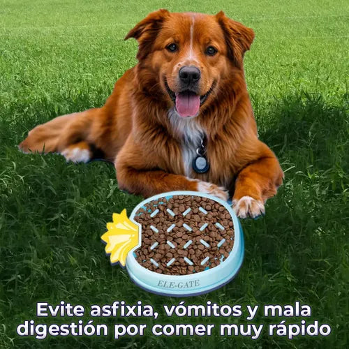 Plato Anti Asfixia En Forma De Piña Verde