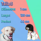 Conjunto De Arnés Y Correa Para Perros Comodidad Y Seguridad Rojo