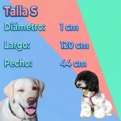 Conjunto De Arnés Y Correa Para Perros Comodidad Y Seguridad Rojo