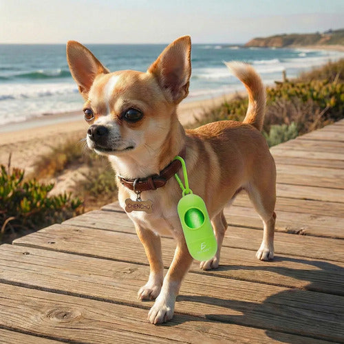 Dispensador De Bolsas Sanitarias Desechables Para Mascotas Verde