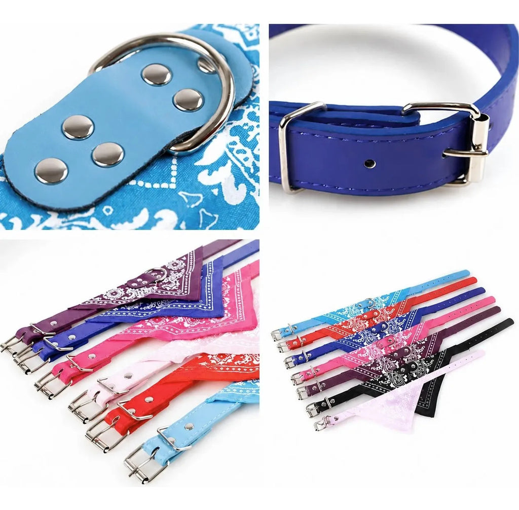 Collar Con Paliacate Elegante Y Ajustable Para Mascotas