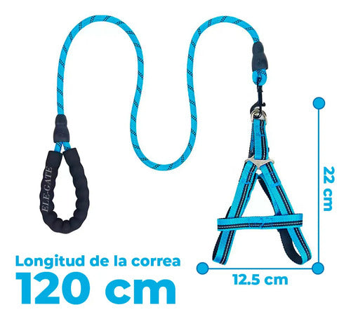 Kit De Arnés Y Correa Para Perros. Mascotas Medianas Azul