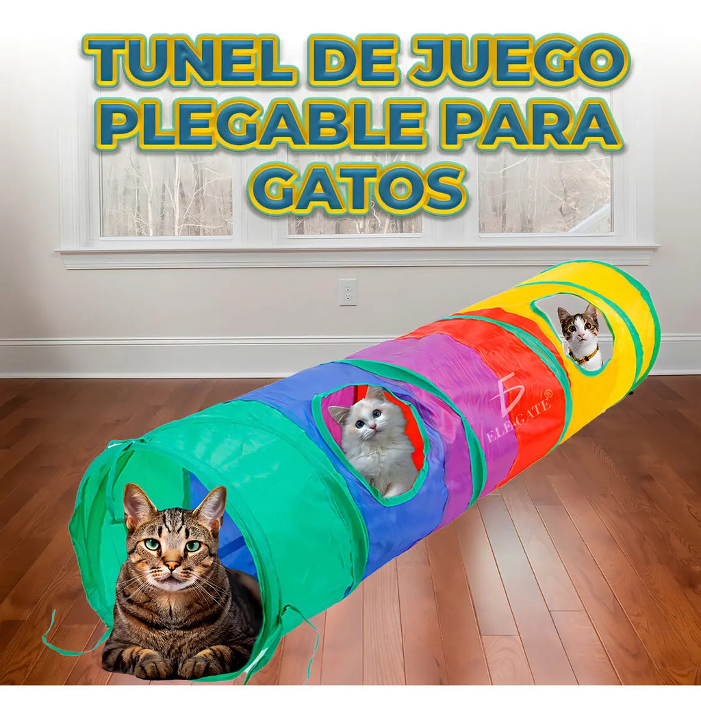 Túnel Plegable Interactivo Para Entrenamiento De Mascotas De Colores