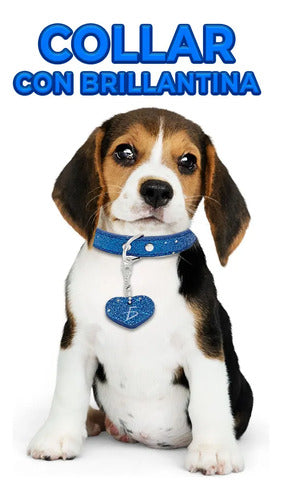 Collar Bling Para Mascotas Con Colgante En Forma De Corazón Negro