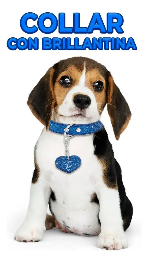 Collar Bling Para Mascotas Con Colgante En Forma De Corazón Negro