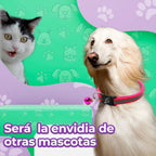 Collar Reflectante Con Campana Para Mascotas Ajustable