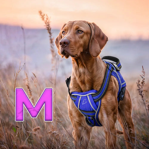 Arnés para perro cómodo y ajustable con asa y chaleco azul