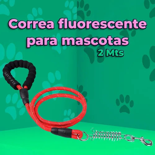 Correa De Nailon Resistente Para Perros De 2 Metros