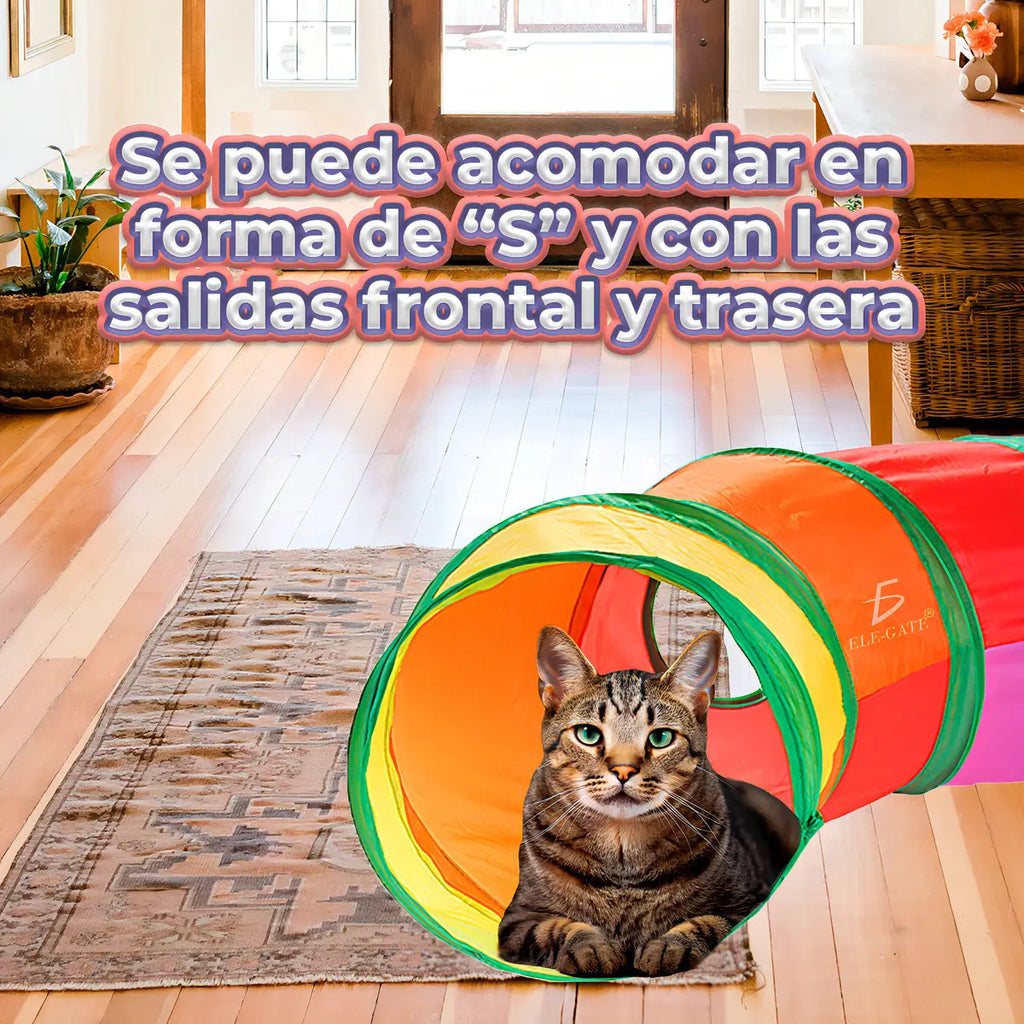 Túnel Plegable Interactivo Para Entrenamiento De Mascotas De Colores