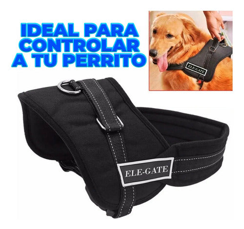 Pretal Reforzado Para Perros Grandes Talla L