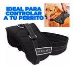 Pretal Reforzado Para Perros Grandes Talla L