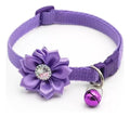 Collar Ajustable Con Flor Y Cascabel Perro Y Gato Morado
