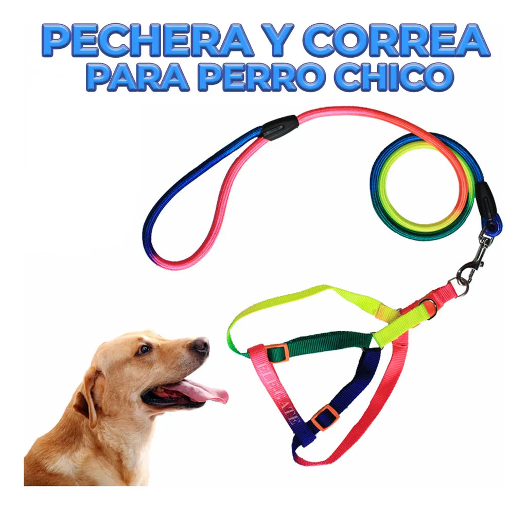 Juego De Arnés Y Correa Para Mascota Talla S