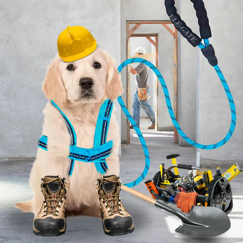 Kit De Arnés Y Correa Para Perros. Mascotas Medianas Azul