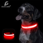 Collar Para Perro Gato Mascota Iluminado Con Luz Led Forma M