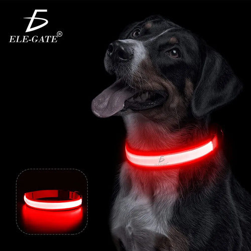 Collar Para Perro Gato Mascota Iluminado Con Luz Led Forma M