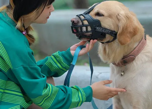 Bozal De Silicona Transpirable Para Perros Grandes