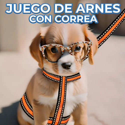 Arnés Ajustable De Nailon Doble Con Correa Para Perros