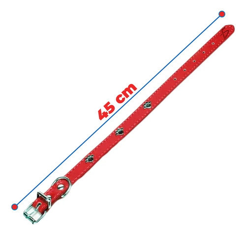 Collar De Perro De Cuero Resistente De Talla L 45 Cm Con
