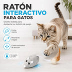 Ratón Interactivo Recargable Usb Para Gatos Con Movimiento