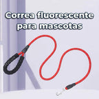Arnés Ajustable Para Perros Pequeños Y Medianos - Paseos