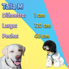 Kit De Arnés Y Correa Para Perros. Mascotas Medianas Azul