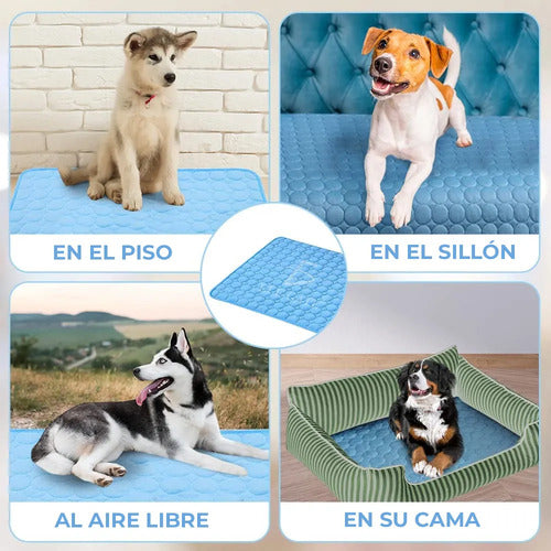 Tapete Almohadilla De Enfriamiento Para Perro Y Gato
