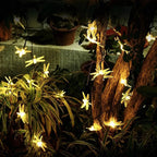 Serie De Luces Coloridas Libélula Carga Solar 5 Metro Amarillo