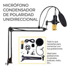 Kit Profesional Microfono Condensador Grabación Estudio Ktv