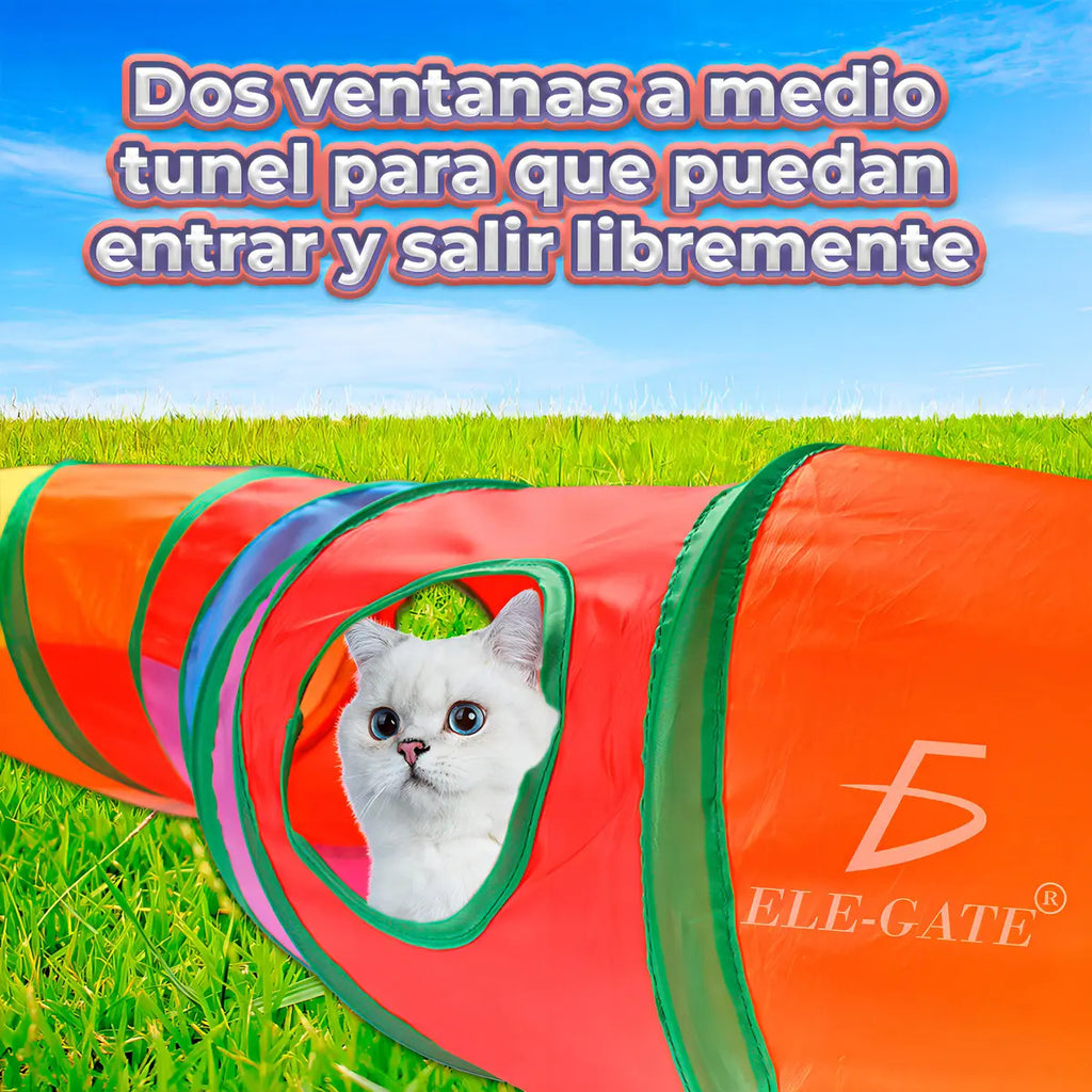 Túnel Plegable Interactivo Para Entrenamiento De Mascotas De Colores