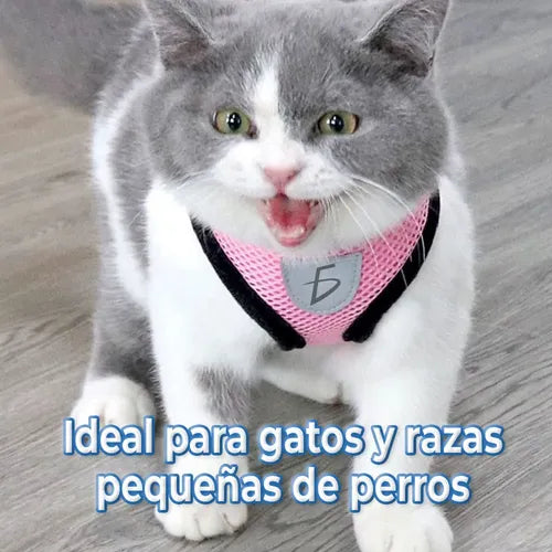Conjunto De Arnés Y Correa Para Mascotas Estilo