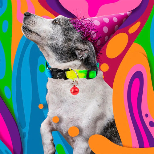 Collar Ajustable De Colores Degradados Para Mascotas